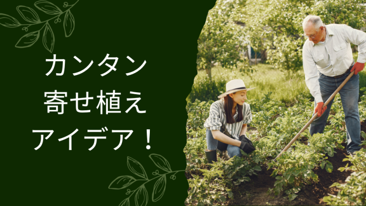 カンタン寄せ植えアイデア！